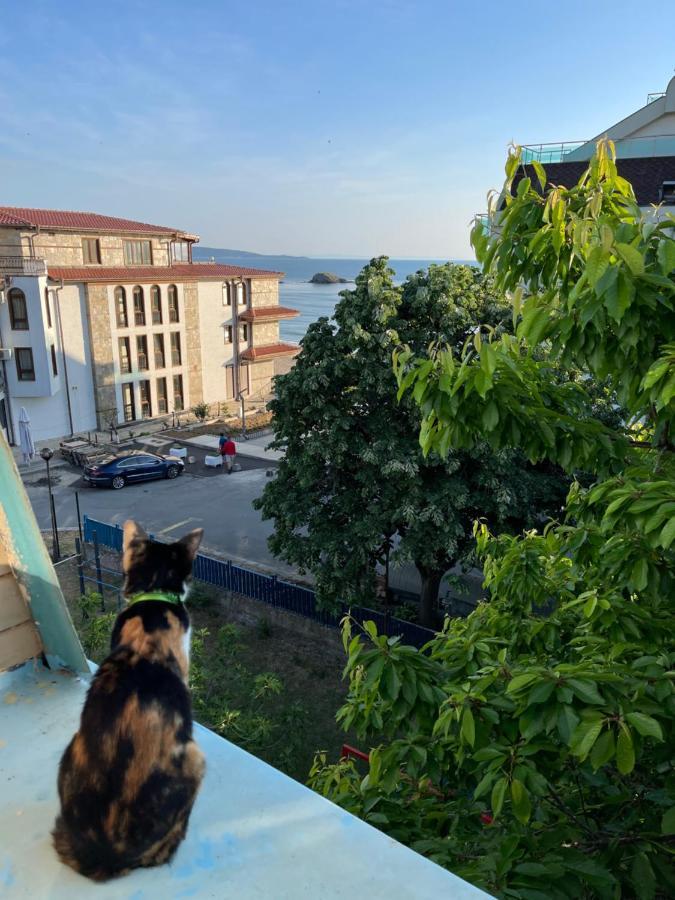 Amadina Garden Hotel Lozenets Luaran gambar